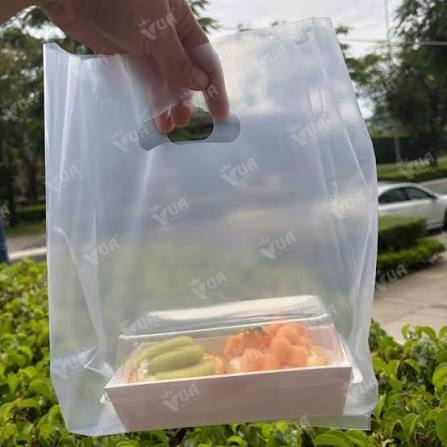 Túi hột xoài nhám